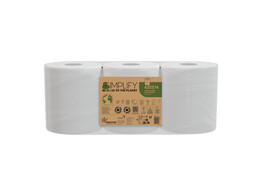 Midipoetsrol Papernet Simplify 2l cellulose wit 450vel 3 rollen