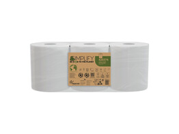 Bobine midi Papernet Simplify 2pli cellulose blanc 450feuille 3 rouleaux