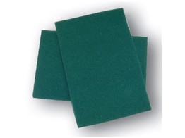 Tampon recureur vert 23 cm x 15 cm
